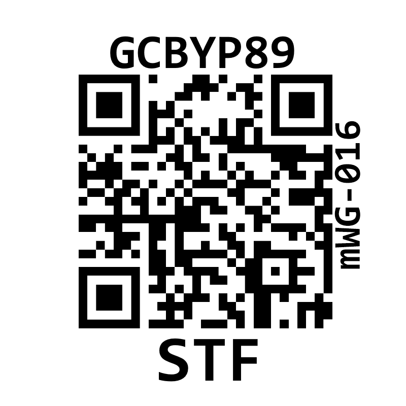 mWG-016 — recto